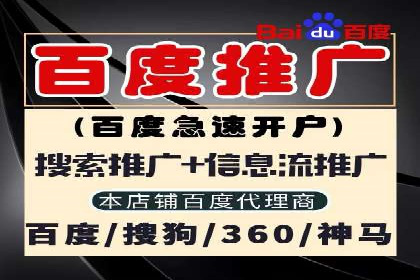 百度推广全攻略：成功案例剖析